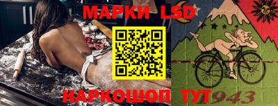 стаф Ярославль